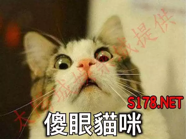 百家樂打法的優劣,攸關獲利結果