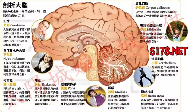 隨機應變去玩真人視訊百家樂