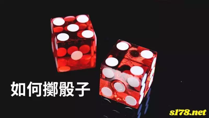 花旗骰如何擲骰子