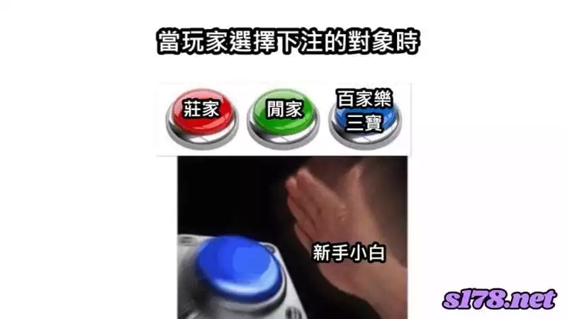 百家樂看路