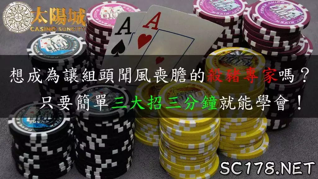 線上百家樂賺錢技巧大全！讓你成為線上真人百家樂的殺豬專家！