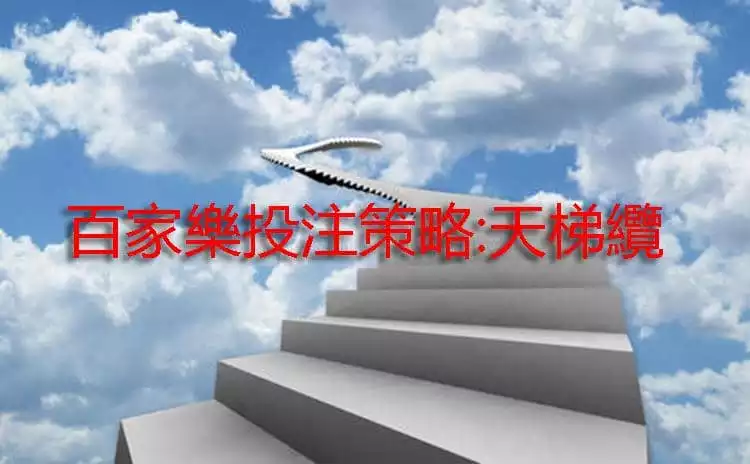 百家樂投注策略:天梯纜